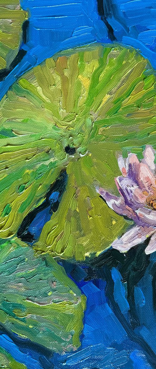 Water lily by Ekaterina Dutkevich