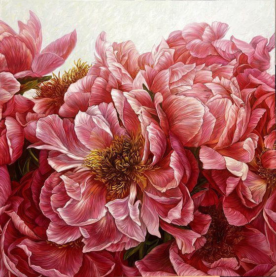 Composition of red peonies