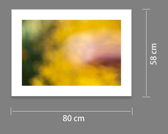abstract - Beautiful Colors #6