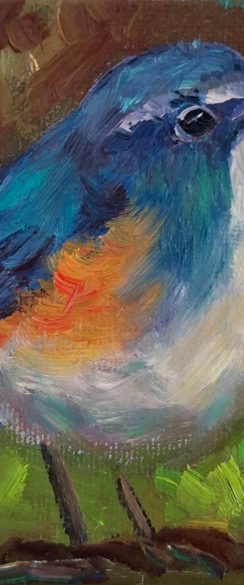 Oil painting "Lovely bird" by Olena Kolotova