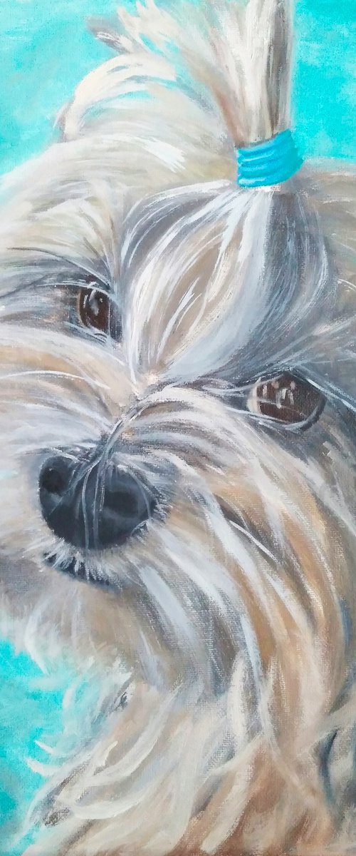 Portrait of a cute dog by Yulia Berseneva