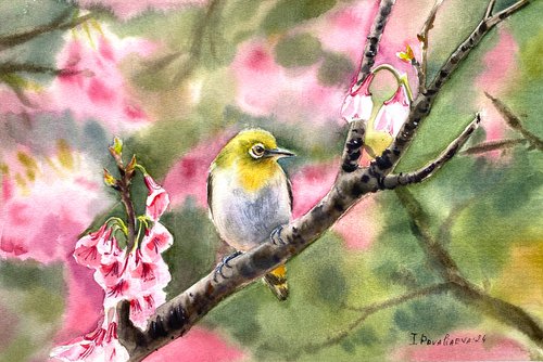 Spring Harmony by Irina Povaliaeva
