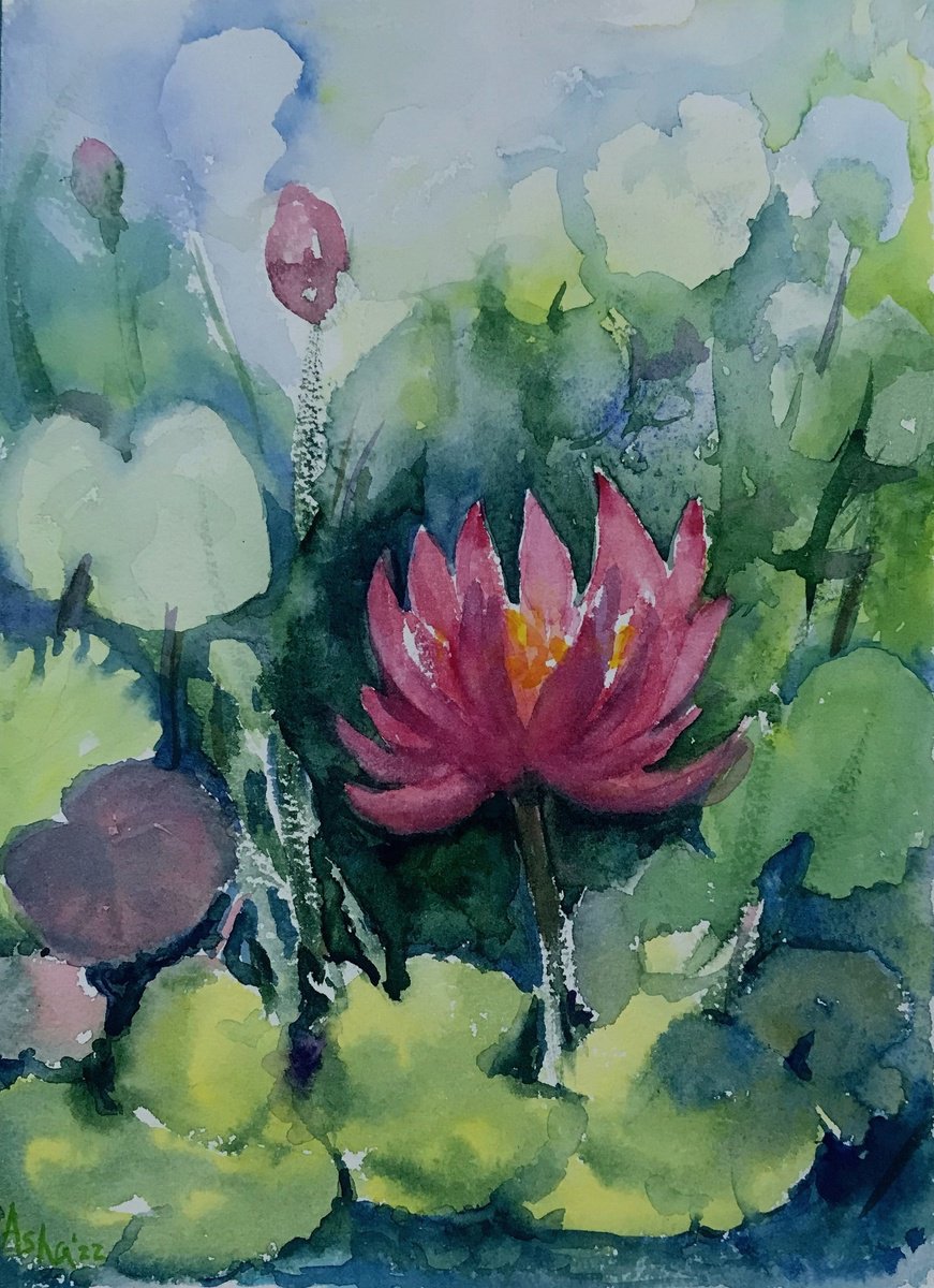 Monsoon Water Lily 1 - Waterlilies- Lotus watercolours on paper by Asha Shenoy