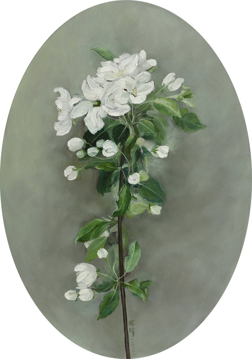 Photorealistic Oil Painting , Pear Flower Blossom No.2 By Zhao Hui Yang, 14 X 20, Artwork For Sale On Artfinder
