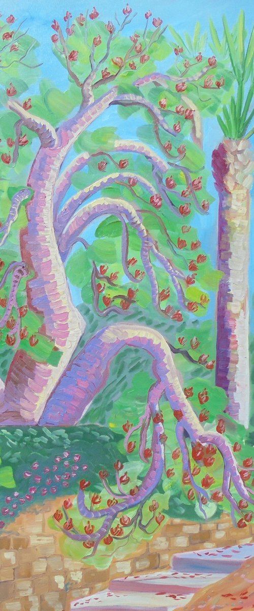 Coral tree in bloom by Kirsty Wain