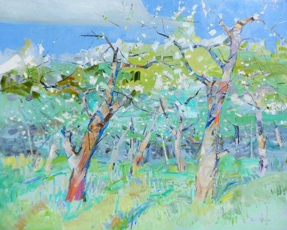 " Apple orchard "