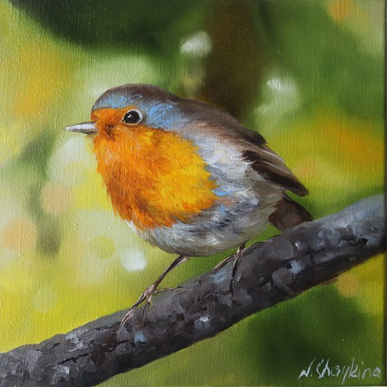 Robin Bird Painting