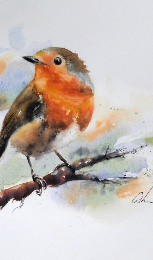 Robin by Graham Kemp