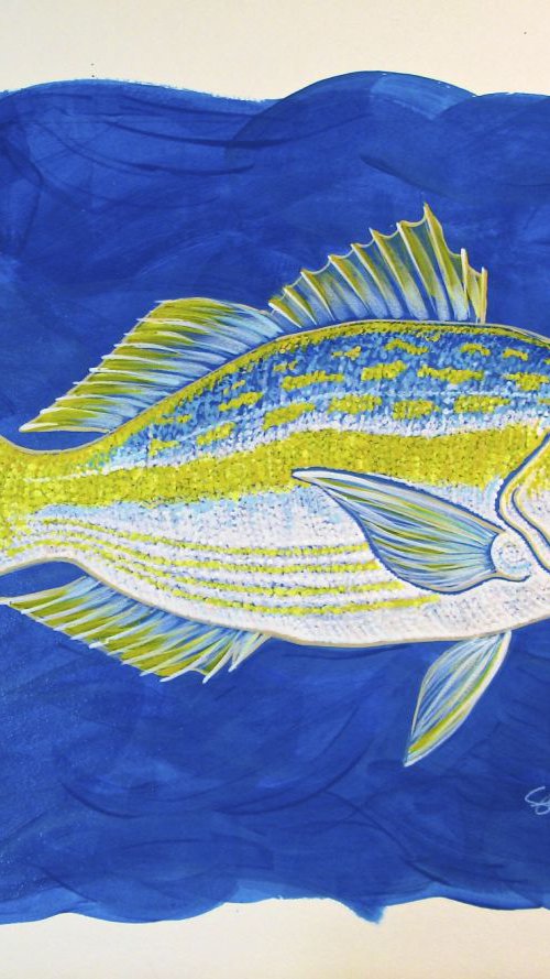 Yellow Snapper by Stephanie Przybylek