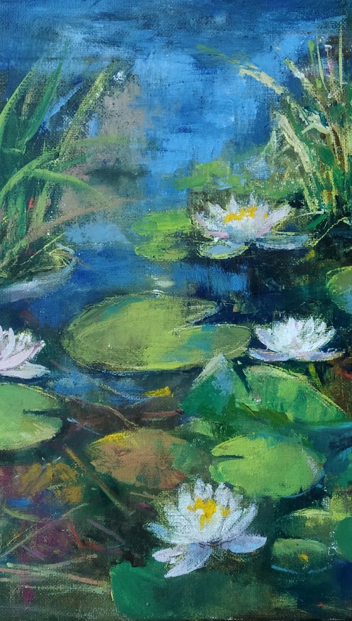 Water Lilies pond by Ann Krasikova