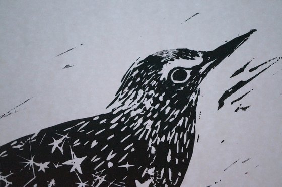 Starling Linocut Print