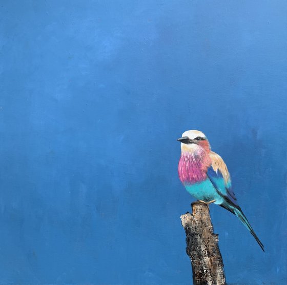 Lilac Breasted Roller ~ Under An African Sky