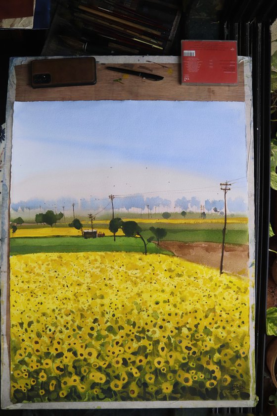 Sun flowers, yellowing greens