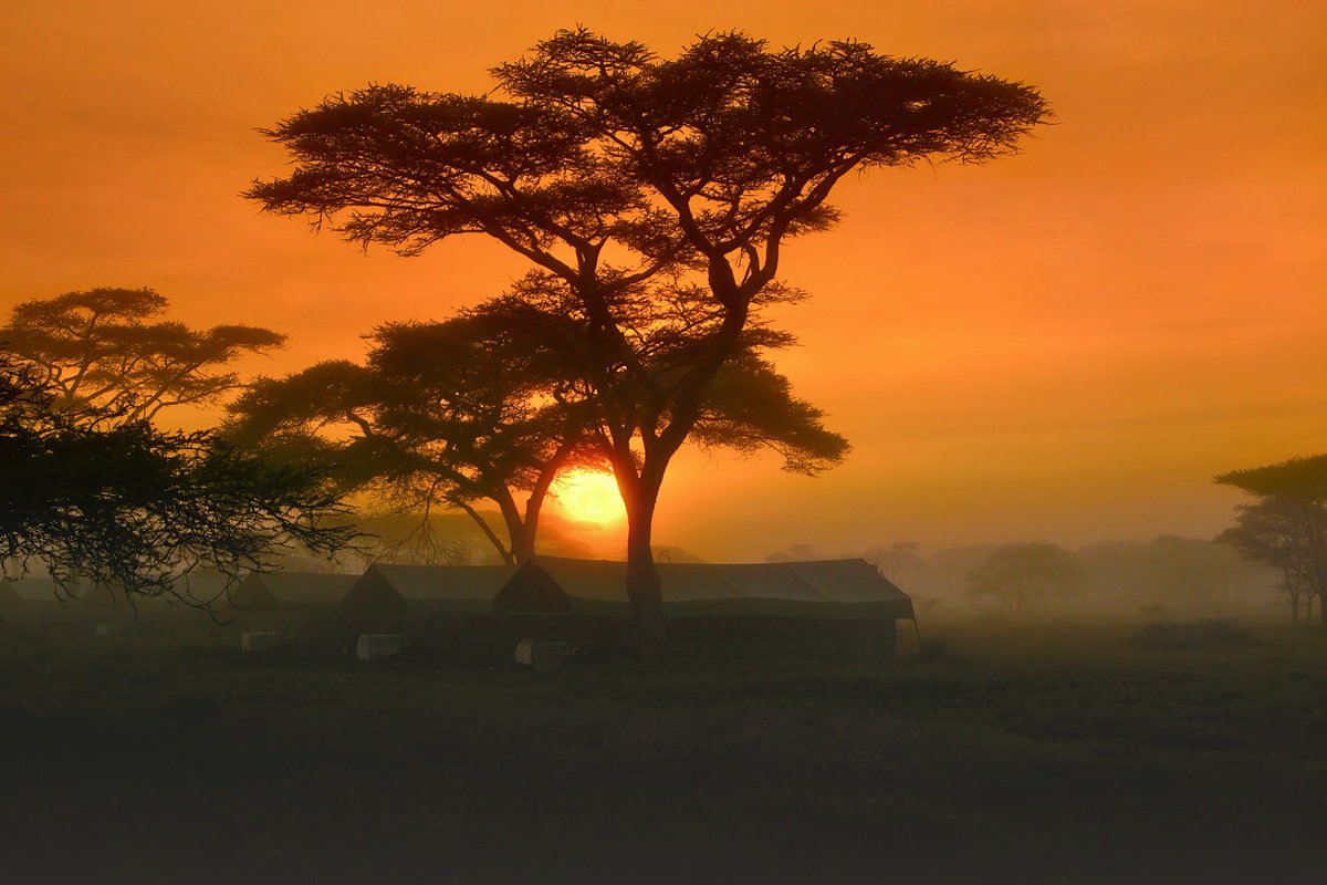 Photorealistic Landscape Photograph By Harv Greenberg, 36 X 24, Serengeti Sunrise, Original Artwork