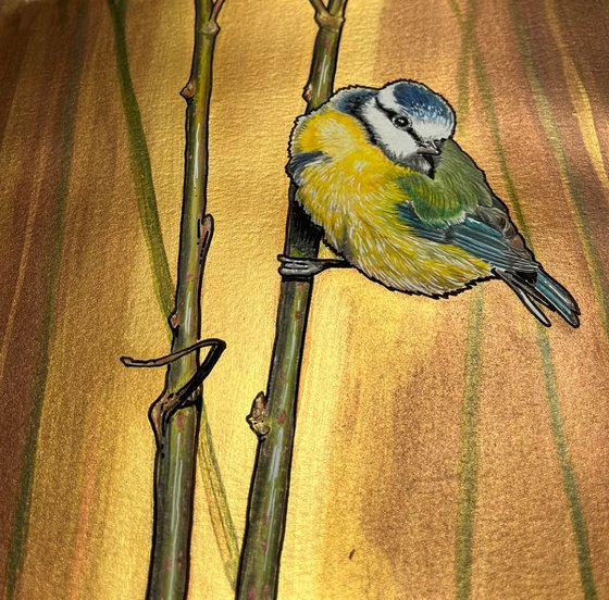 Bluetit