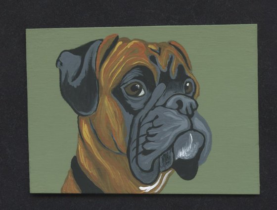 ACEO ATC Original Miniature Painting  Boxer Pet Dog Art-Carla Smale