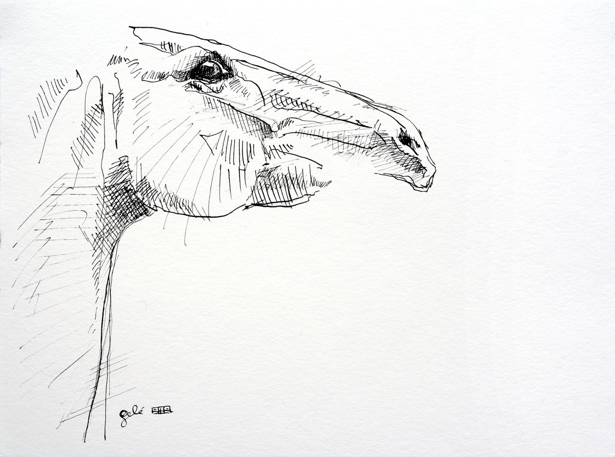 Expressive Animal Ink Drawing By Benedicte Gele, 13 X 9, Expression 3A, Original Artwork