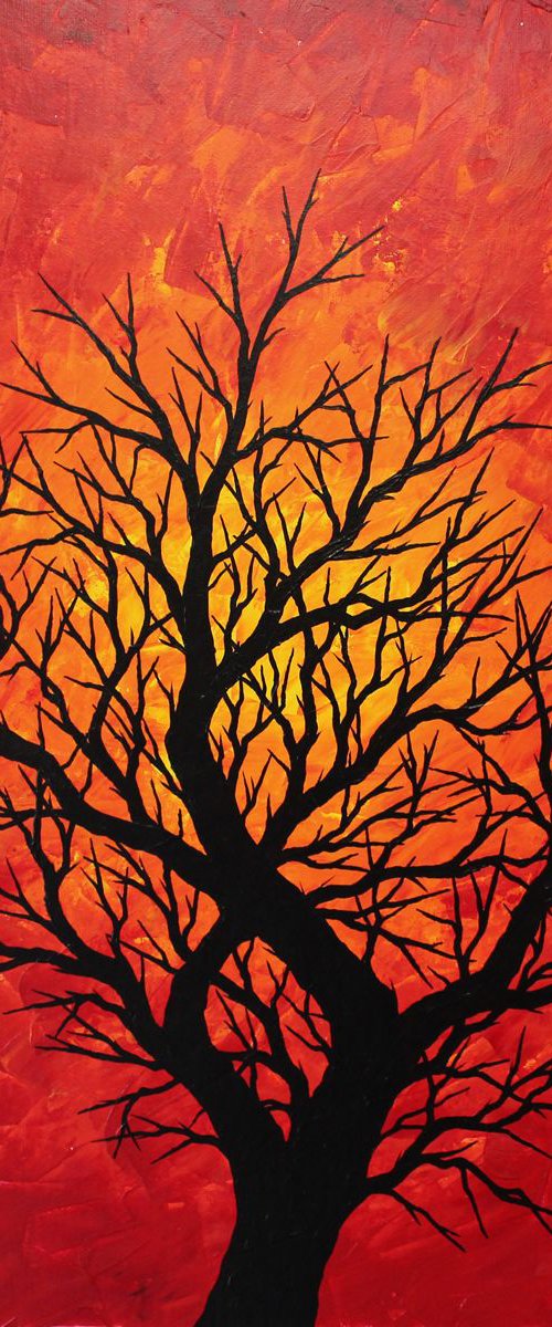 Warm Tree Silhouette by Jonathan Pradillon