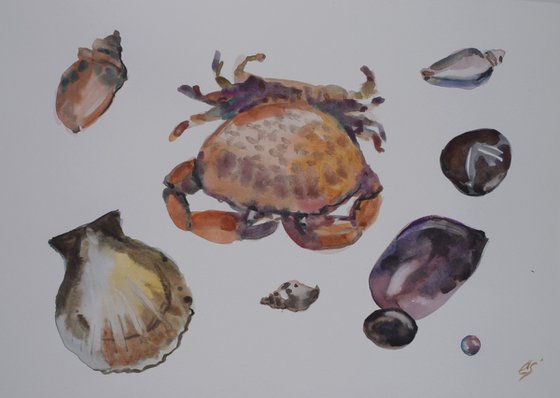 Gifts of the sea .Crab