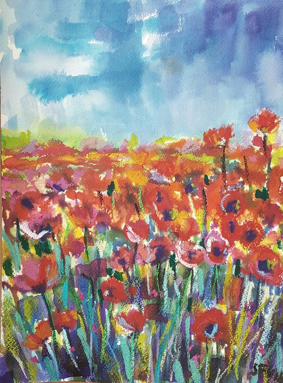 Poppies and the storm