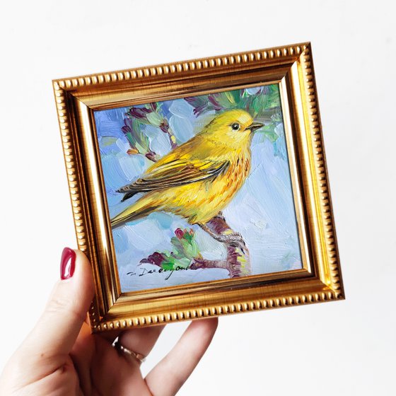 Yellow warbler