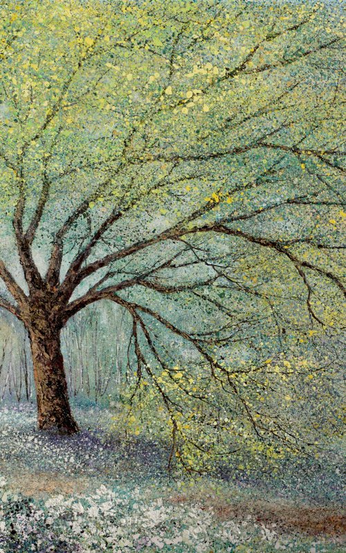 SPRINGTIME ON THE OLD OAK PATH by Chris Bourne