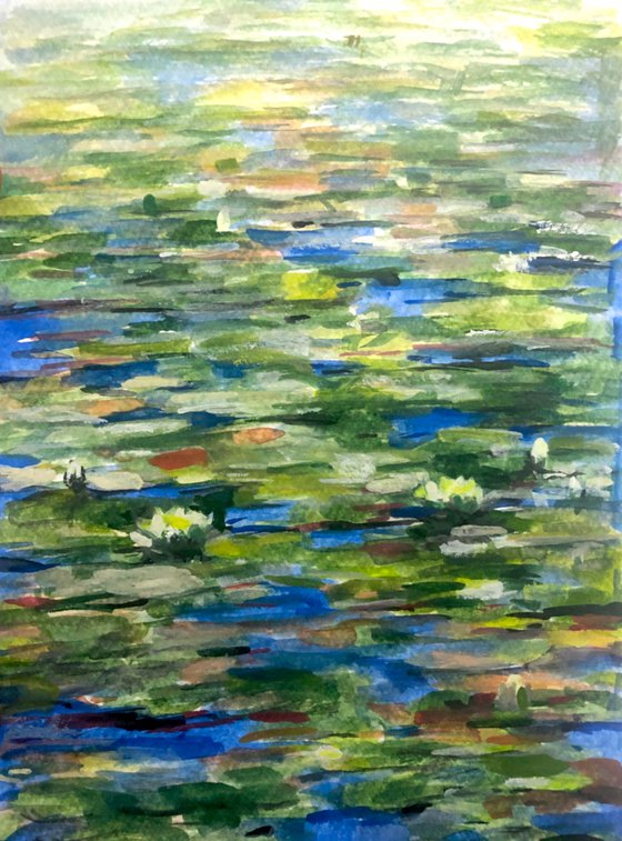 Bluewater Lilies