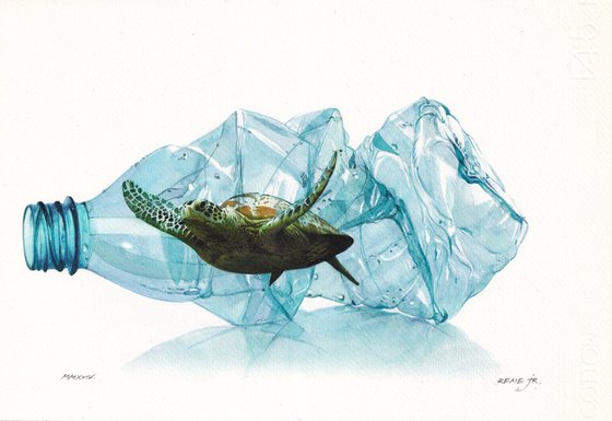 Turtle in Plastic Bottle