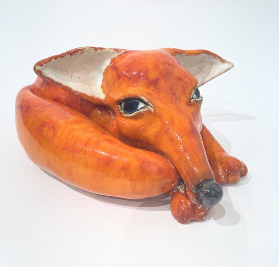 Foxy Loxy