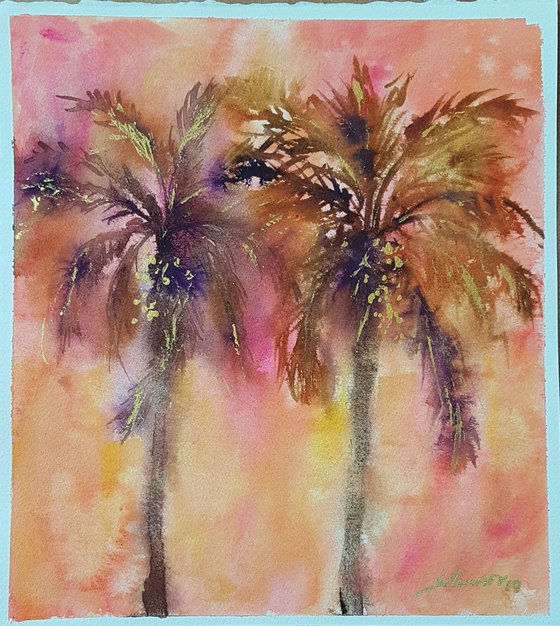 Palm trees in the evening light