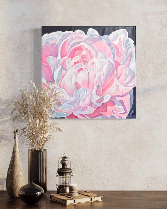 Pink peony