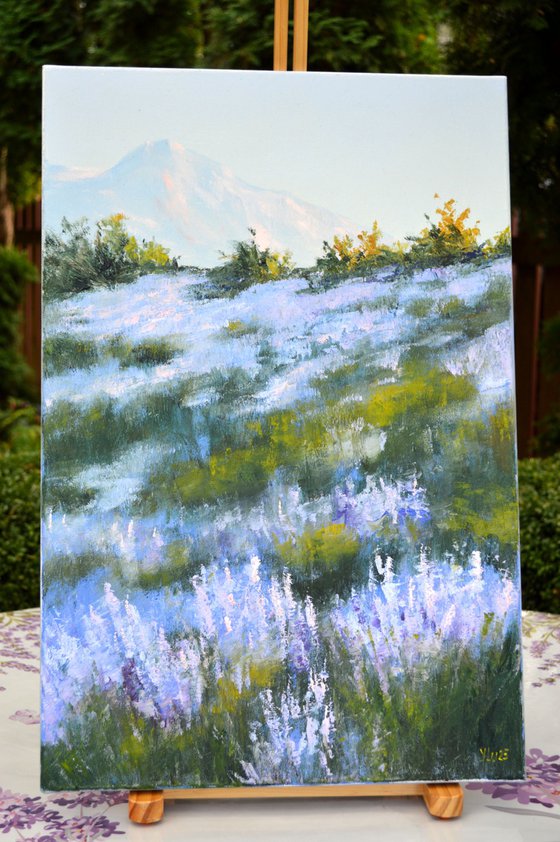 Wild lavender in the haze of the morning sun