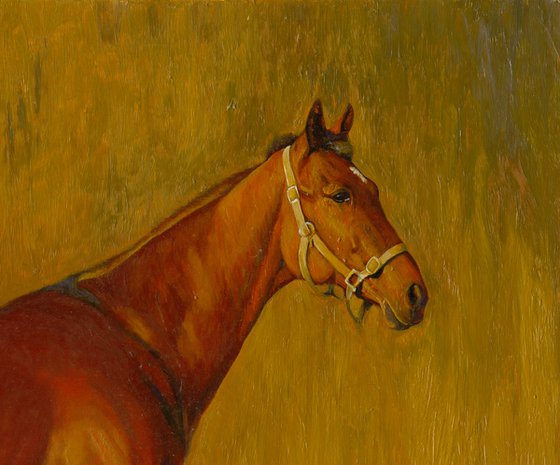 Orlov trotter
