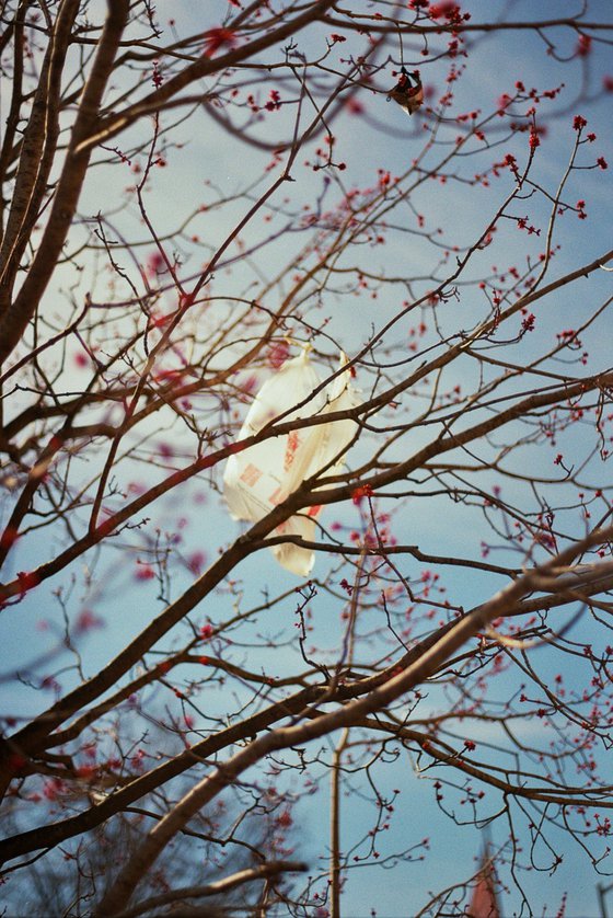Winds