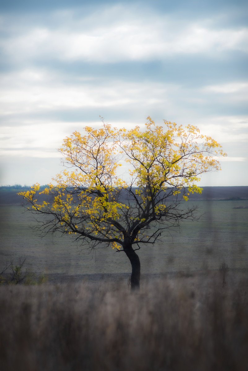 Lonely Glow by Vlad Durniev