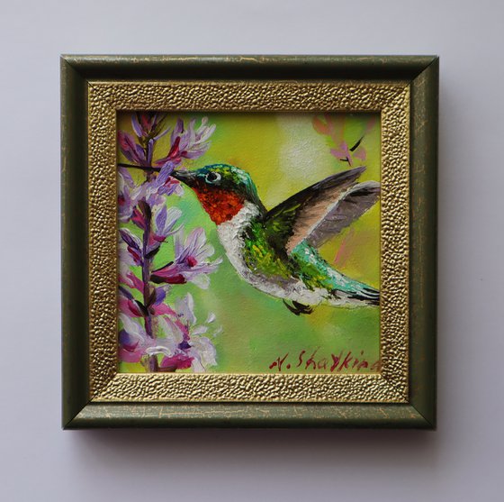 Hummingbird Painting Oil