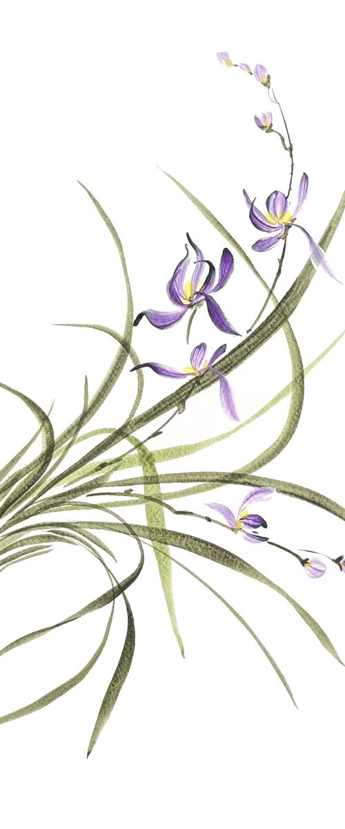 Evening Orchid by Hai Doan