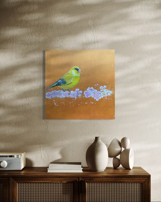 Greenfinch on cherry blossom