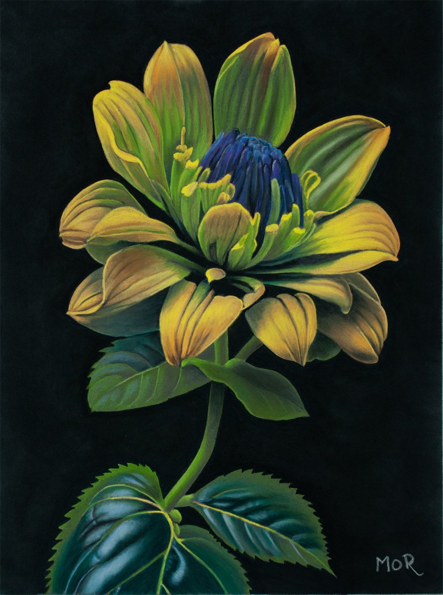 Mystic Flower #1 by Dietrich Moravec