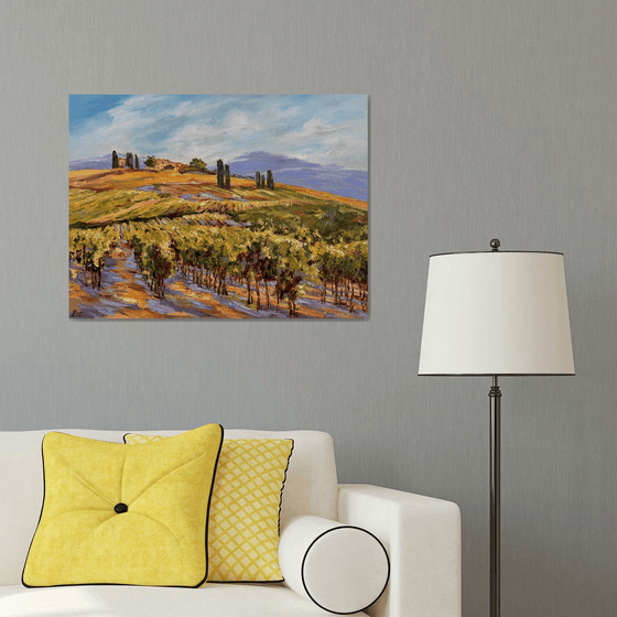 Vignes sous le soleil