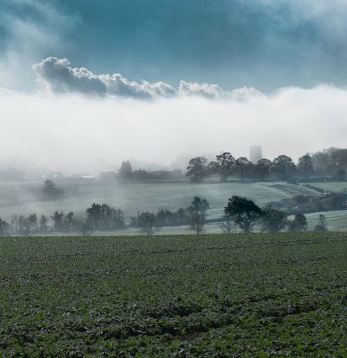 Mist, Vale of Aylesbury by Russ Witherington