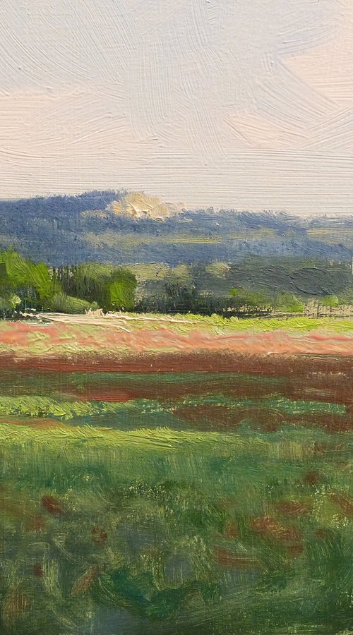 Poppies in the Luberon by Pascal Giroud