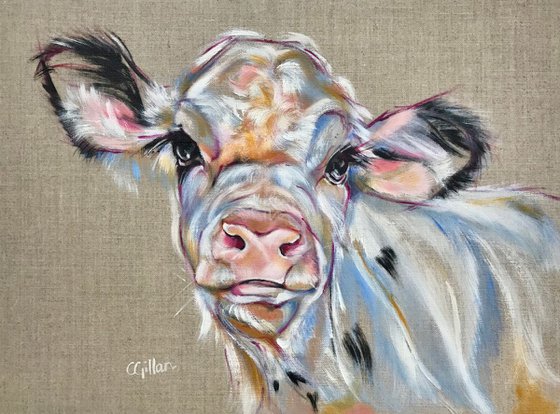 Kohl - Black & White Calf Cow original oil painting on linen on board
