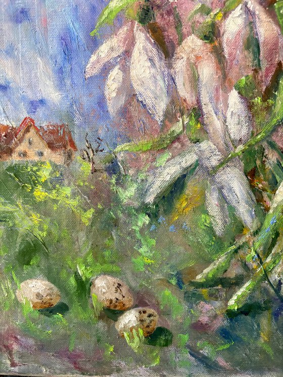 The Weight of Spring Memories