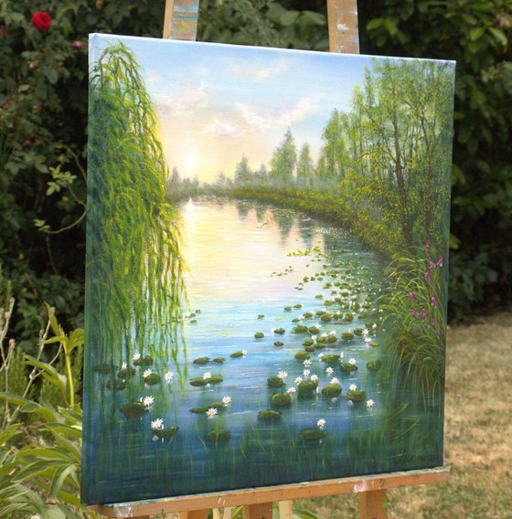 Serene lily pond