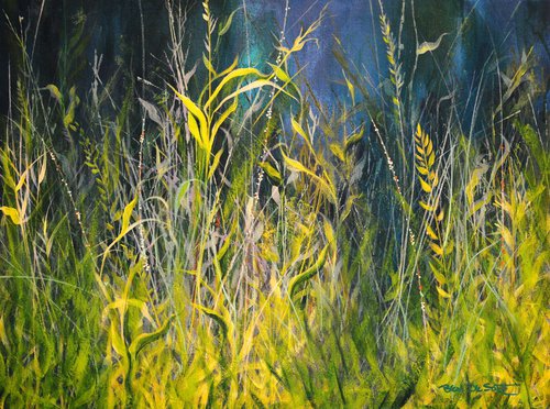 In the Meadow by Ben De Soto