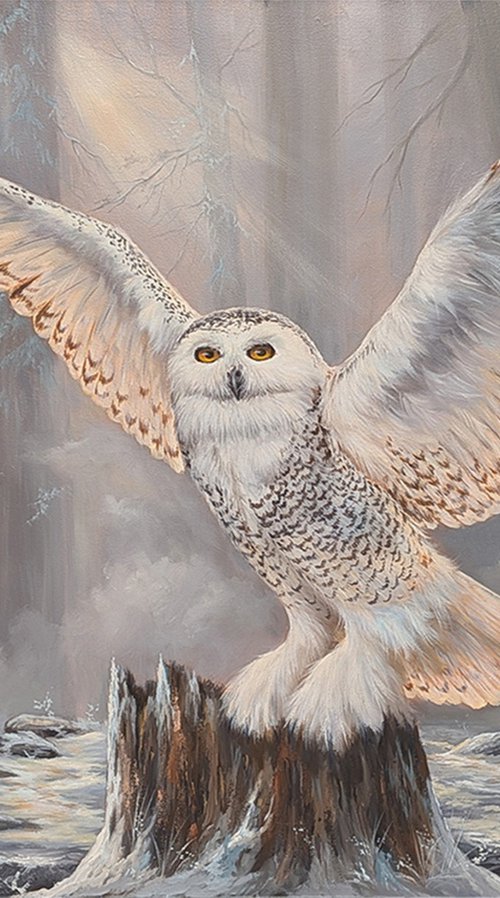 Silent Wings by michael Schutte