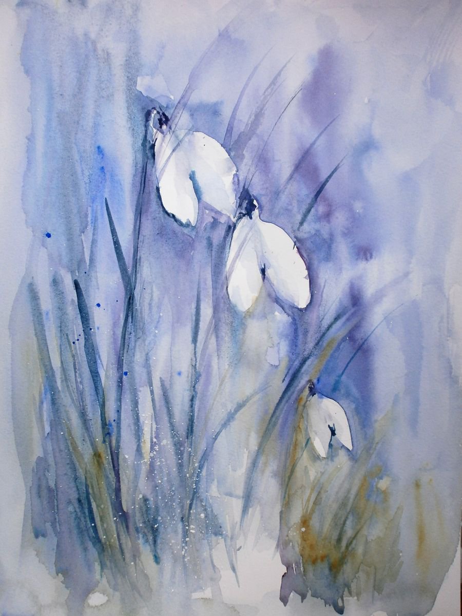 watercolour snowdrops by Sue Green