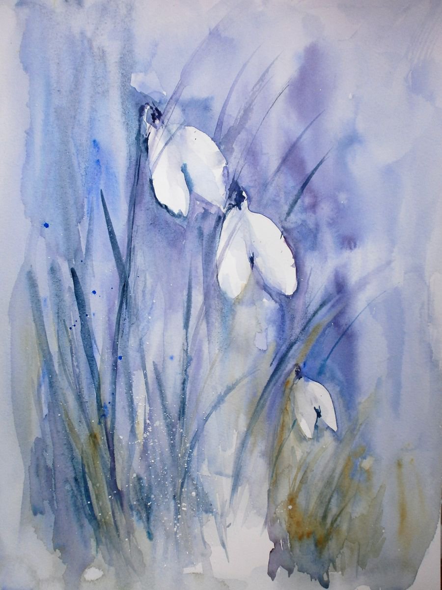 watercolour snowdrops by Sue  Green