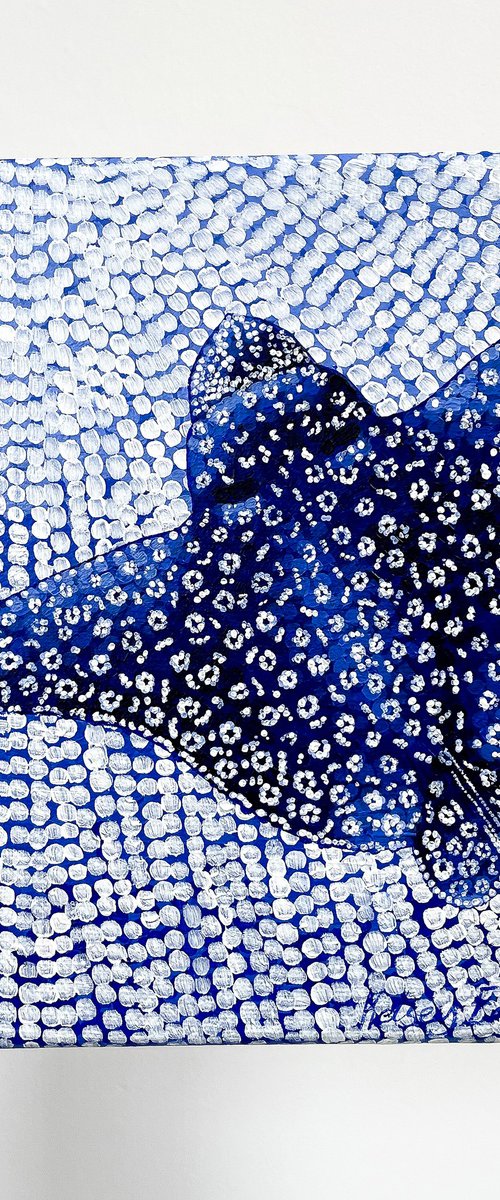 White Spotted Eagle Ray by Kelsey Emblow